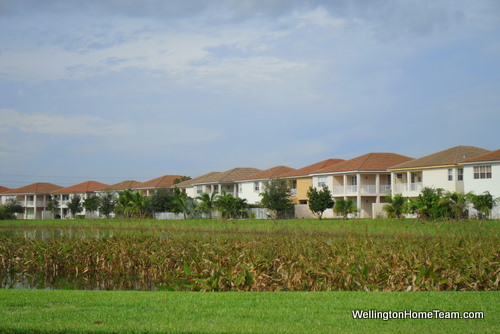 Black Diamond Homes for Sale in Wellington Florida