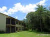 Sheffield Woods Wellington Florida Yards