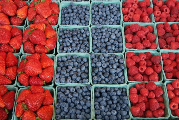 Wellington FL Green Market - Farmers Market in Wellington FL