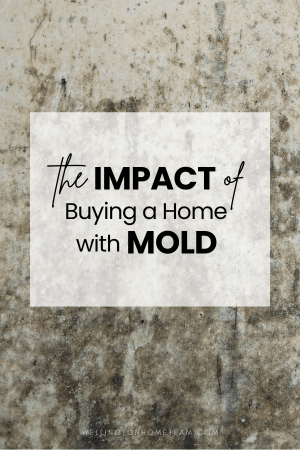 The Impact of Buying a Home with Mold