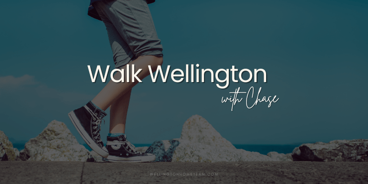 Walk Wellington with Chase