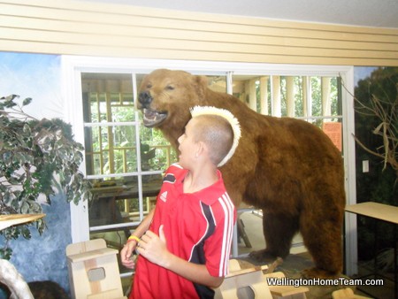 Busch Wildlife Sanctuary Gift Shop Bear