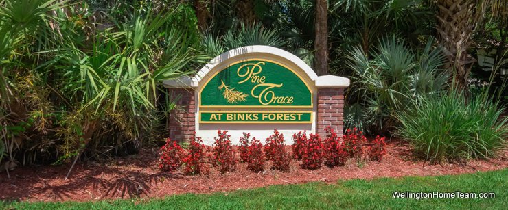 The Preserve at Binks Forest Homes for Sale in Wellington Florida