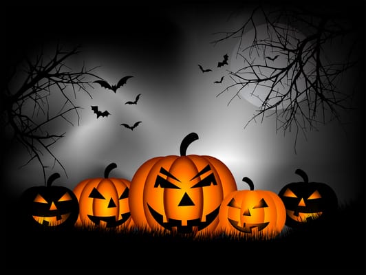 Wellington Fall Festival 2014 |Wellington Halloween Events