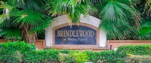 Brindlewood at Binks Forest Homes for Sale in Wellington Florida
