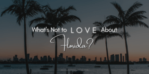 Whats Not to Love About Florida
