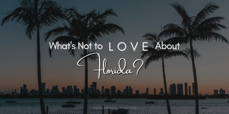 What's Not to Love About Florida?