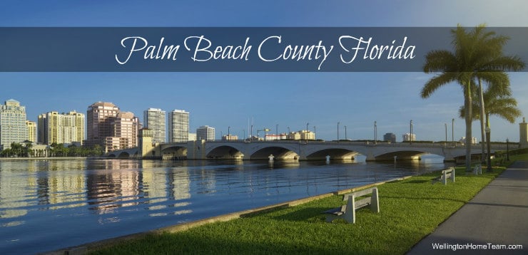 Realtors In Palm Beach County Florida