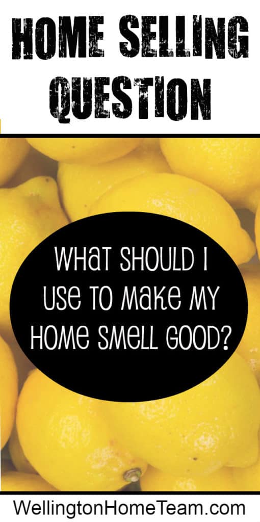 Home Selling Question: What should I use to make my Home Smell Good?