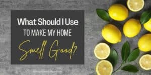 What Should I Use to Make My Home Smell Good A Home Selling Question