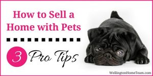 How to Sell a Home in Wellington Florida with Pets 3 Pro Tips