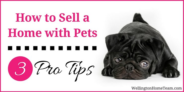 How to Sell a Home in Wellington Florida with Pets - 3 Pro Tips