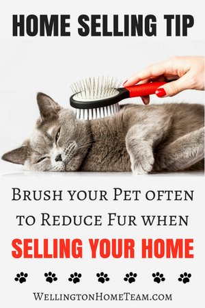 How to Sell a Home with Pets - Remove Pet Fur when Selling your Home