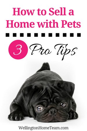 How to Sell a Home with Pets | 3 Pro Tips