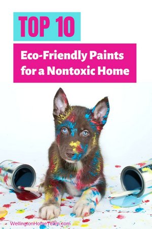 Top 10 Eco-Friendly Paints for a Nontoxic Home