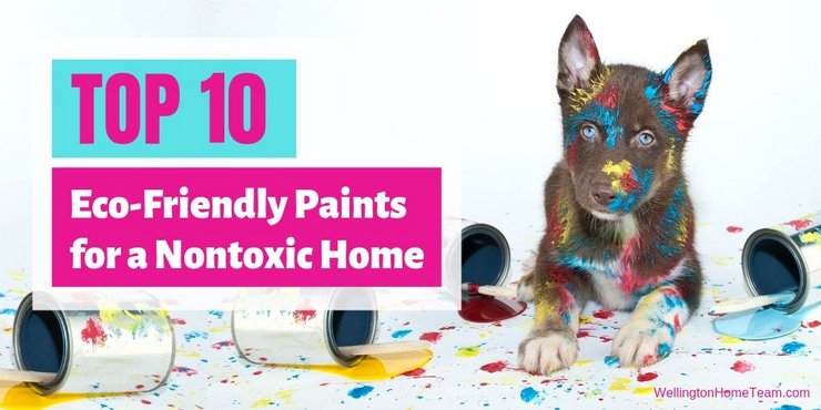 Top 10 Eco-Friendly Paints for a Nontoxic Home