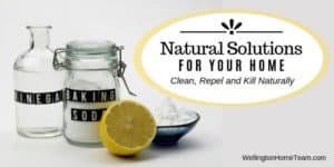 Natural Solutions for Your Home Clean Repel Kill