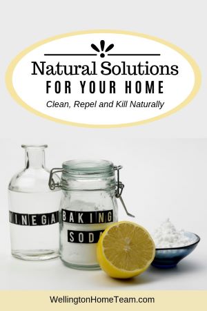 Natural Solutions for Your Home | Clean, Repel & Kill Naturally
