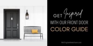 Get Inspired with Our Front Door Color Guide Wellington Florida