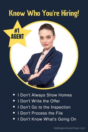 Real Estate Team Vs Solo Agent Whats the Difference Know Who You Are Hiring
