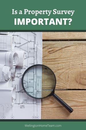 What Does A Property Surveyor Do? Top 6 Questions & Answers