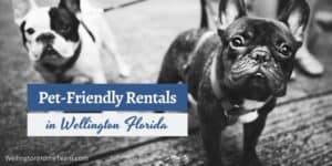 Pet Friendly Rentals in Wellington Florida