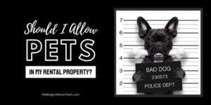 Should I Allow Pets in My Rental Property
