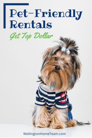 Should I Allow Pets in My Rental Property - Pet Friendly Rentals