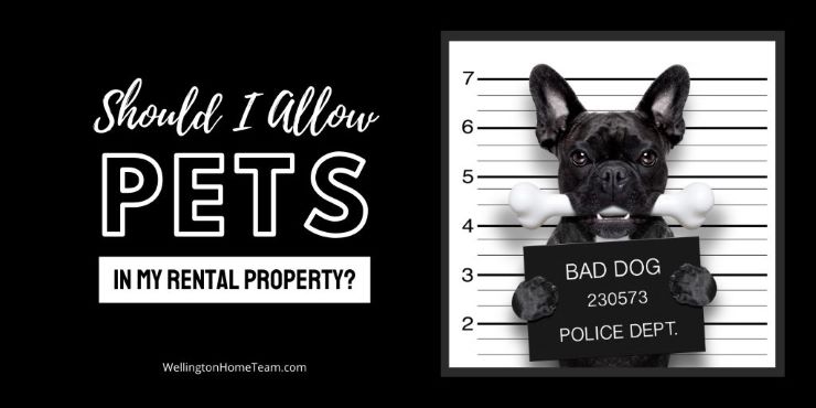 Should I Allow Pets in My Rental Property? WellingtonHomeTeam.com