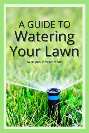 Curb Appeal 101 - How to Have the Perfect Lawn - How to Water Lawn