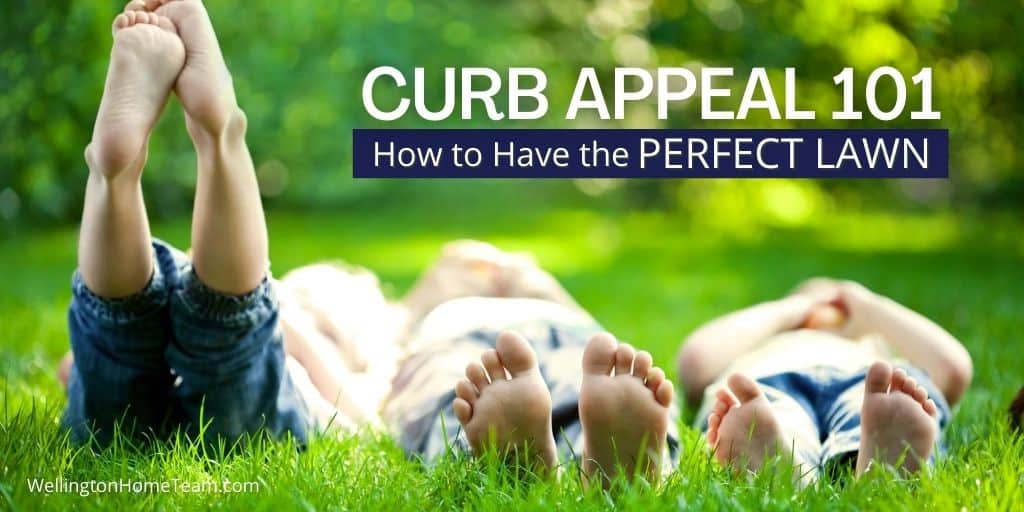 Curb Appeal 101 _ How to Have a Perfect Lawn