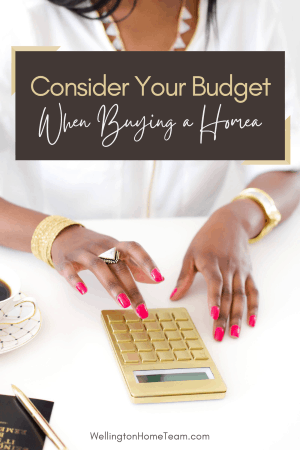 Consider Your Budget when Buying a Home