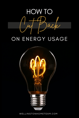 How To Cut Back on Energy Usage