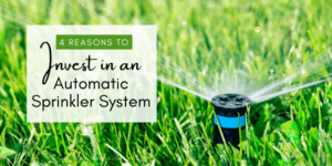 Four Reasons to Invest in an Automatic Sprinkler System