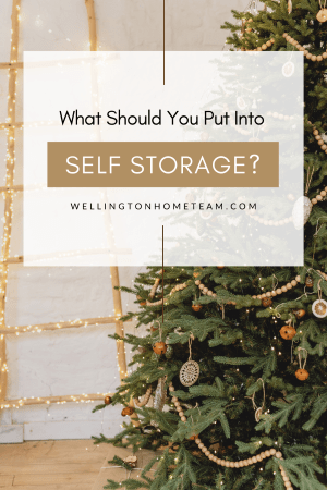 What Should You Put into Self Storage?