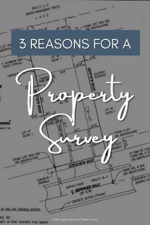 3 Reasons for a Property Survey