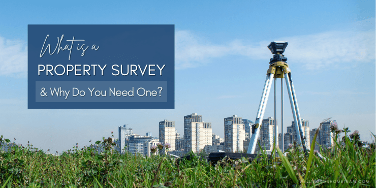 What is a Property Survey and Why Do I Need One