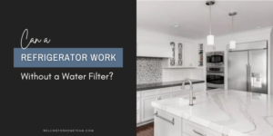 Can Your Refrigerator Work Without a Water Filter