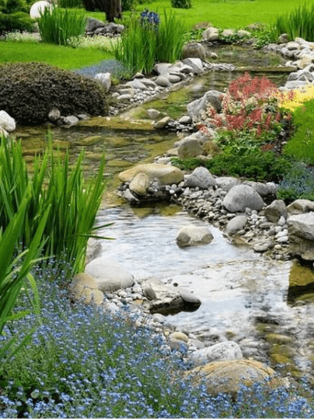 How To Turn Your Backyard Into a Zen Garden