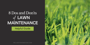 Eight Dos and Donts of Lawn Maintenance Helpful Guide