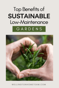 Sustainable, Low-Maintenance Gardens: A Homeowner's Guide