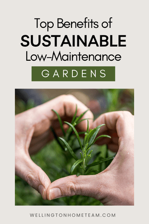 Top Benefits of Sustainable Low-Maintenance Gardens