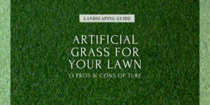 Artificial Grass for Your Lawn | 13 Pros and Cons of Turf