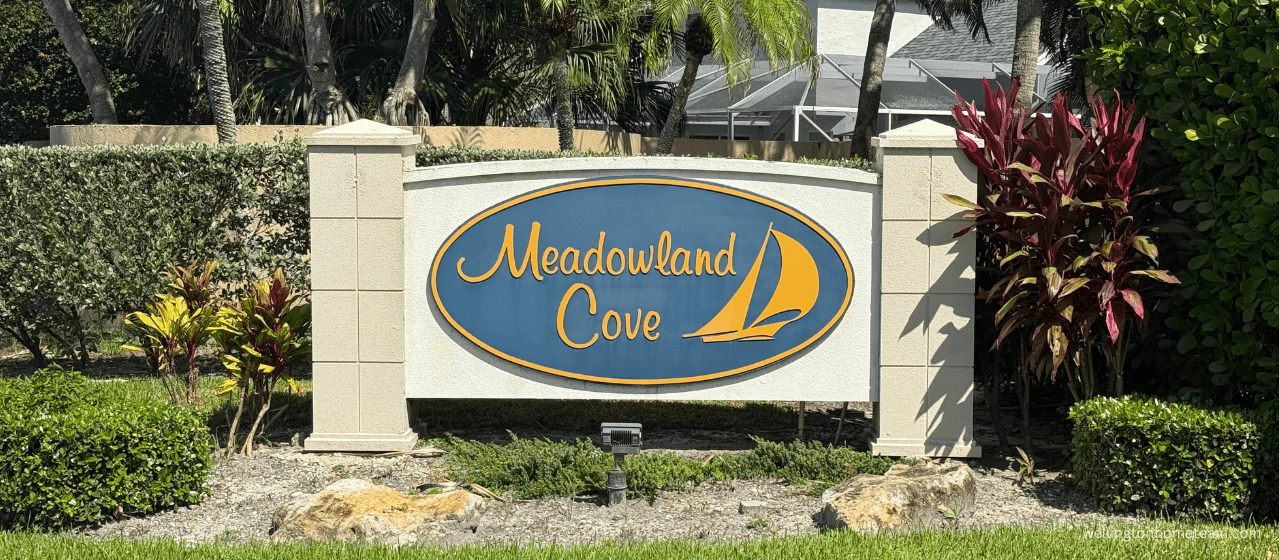 Meadowland Cove Wellington FL Homes for Sale & Real Estate