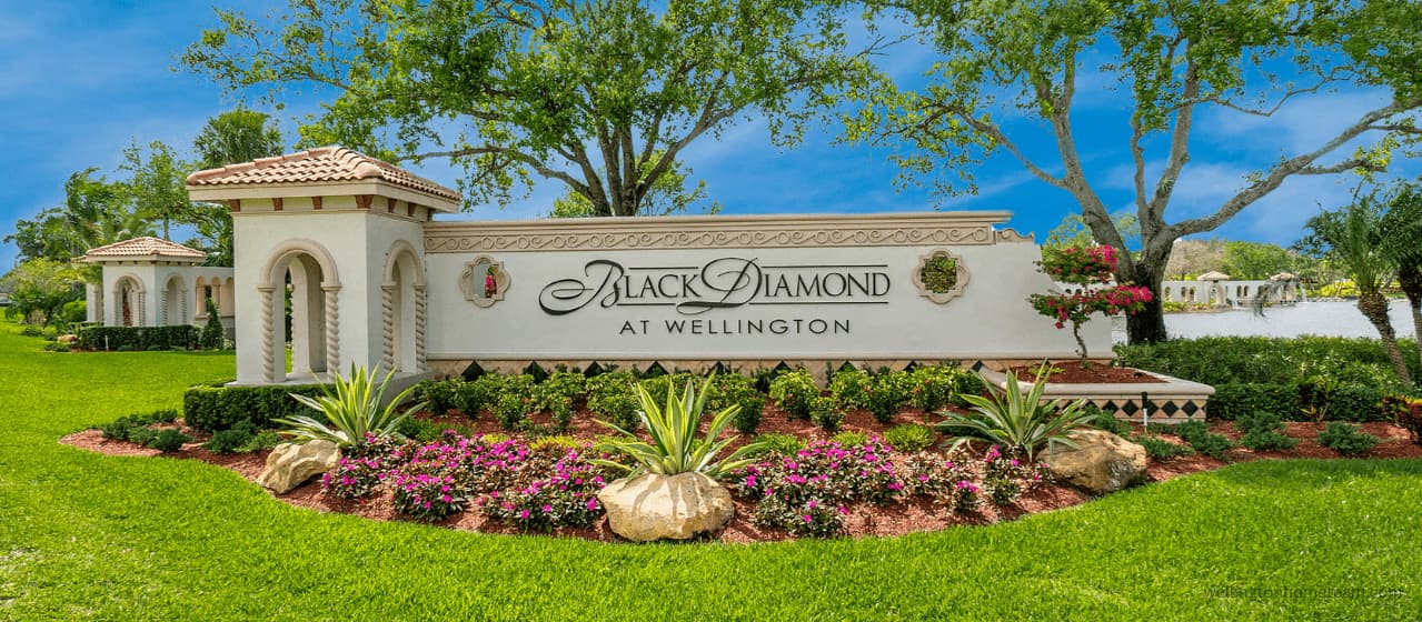 Black Diamond Homes for Sale and Real Estate Guide