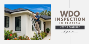 WDO Inspection in Florida Cost Coverage