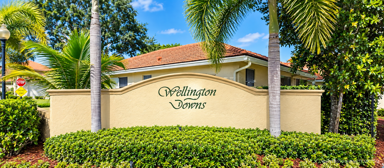Wellington Downs community entrance sign surrounded by palm trees in Wellington, FL